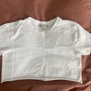 AllSaints white crop top